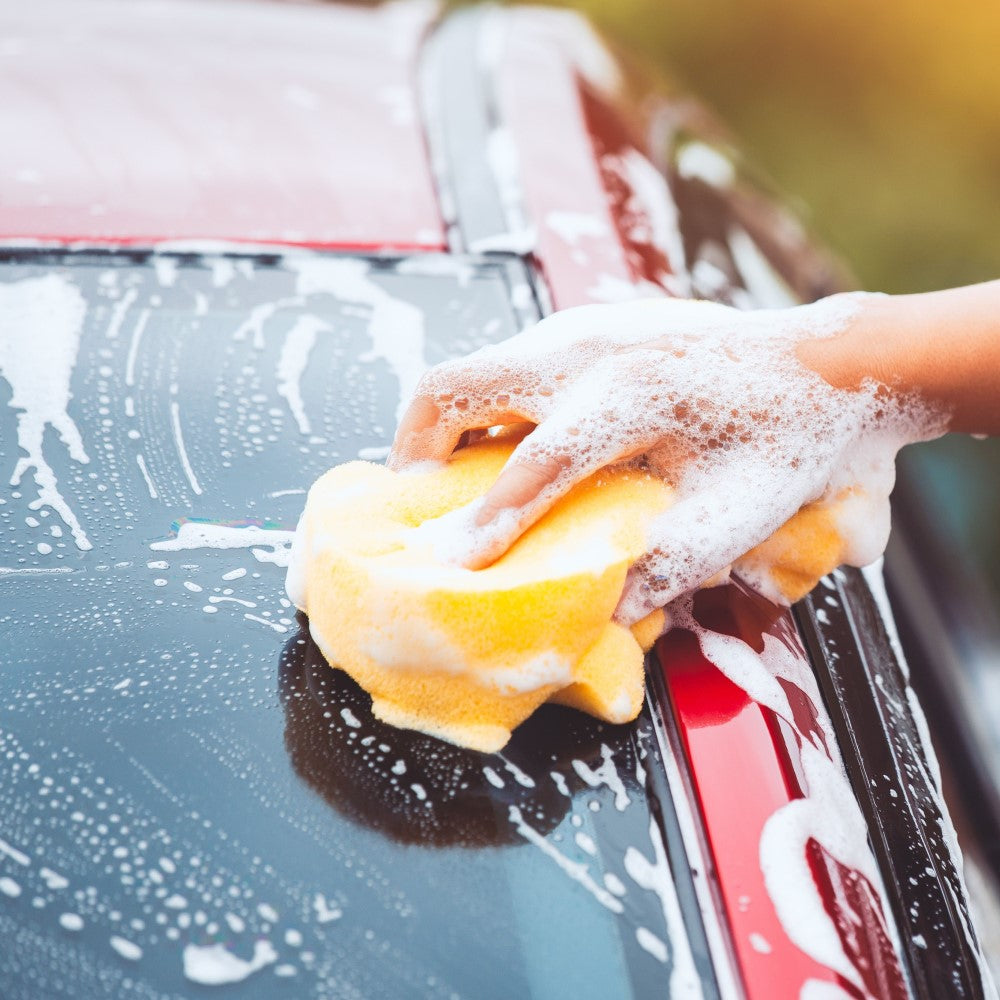 Aplicação do Shampoo Concentrado Clean2GO com esponja no capô do carro